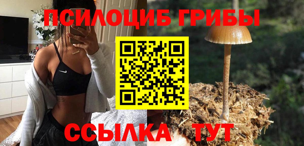Псилоцибиновые грибы Cubensis Железноводск