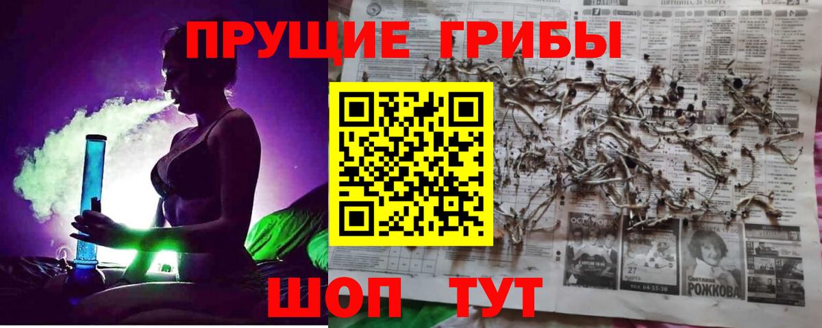 Железноводск  Псилоцибиновые грибы Cubensis  Вход с VPN 